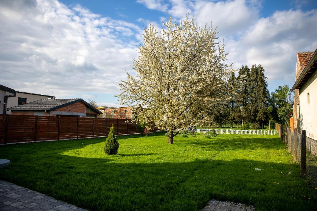 Apartman Ena Bjelovar Exterior photo